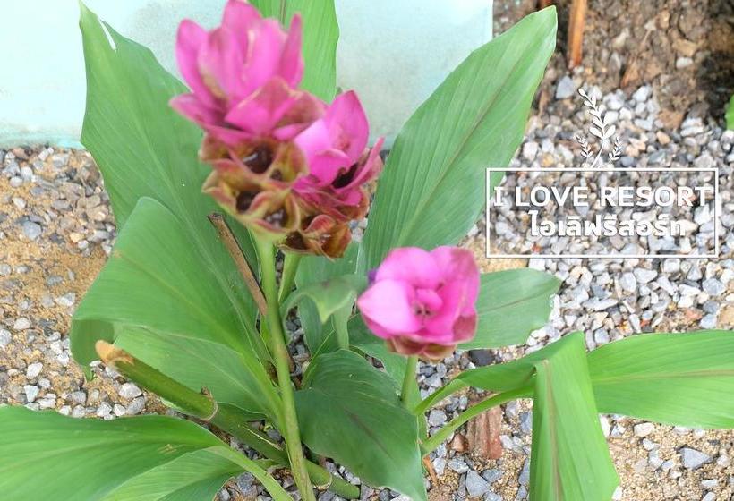 Hotel I Love Resort Chainat 10