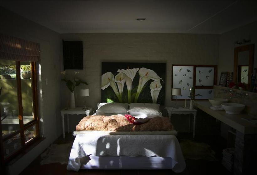 Aasvoelkrans Bed And Breakfast 2