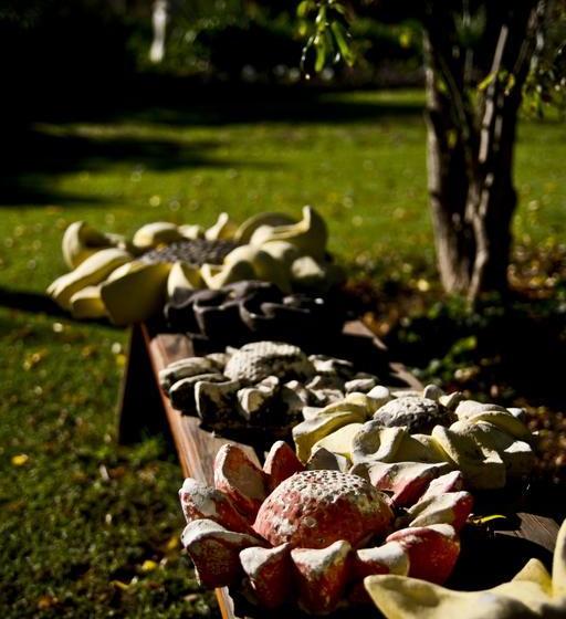 Aasvoelkrans Bed And Breakfast 5