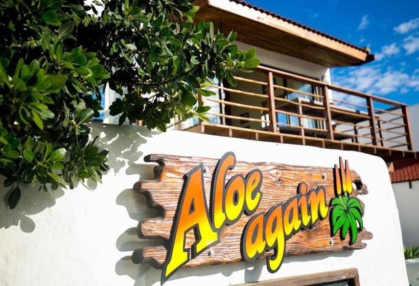 Hostel Aloe Again 1
