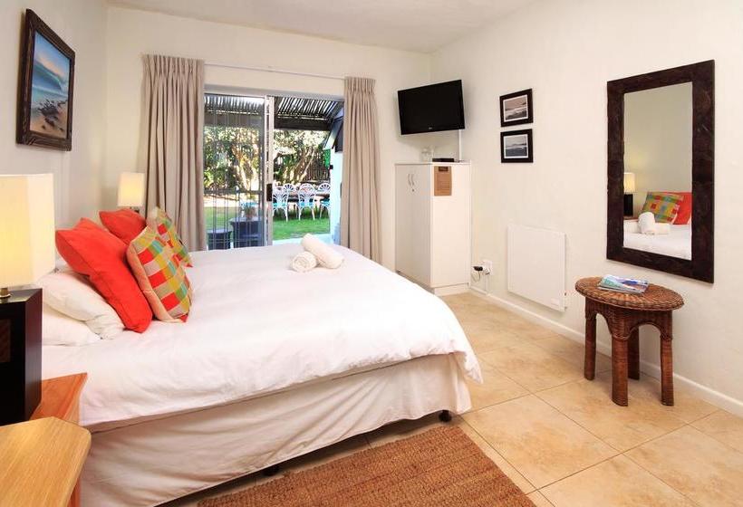 Hostel Aloe Again 12