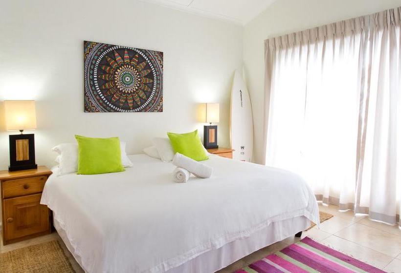 Hostel Aloe Again 16