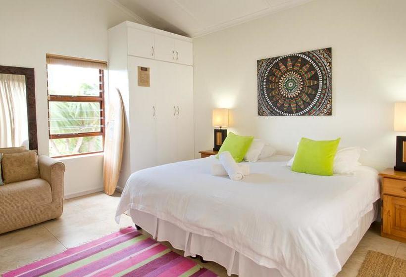 Hostel Aloe Again 17