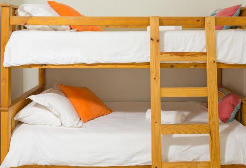 Hostel Aloe Again 20