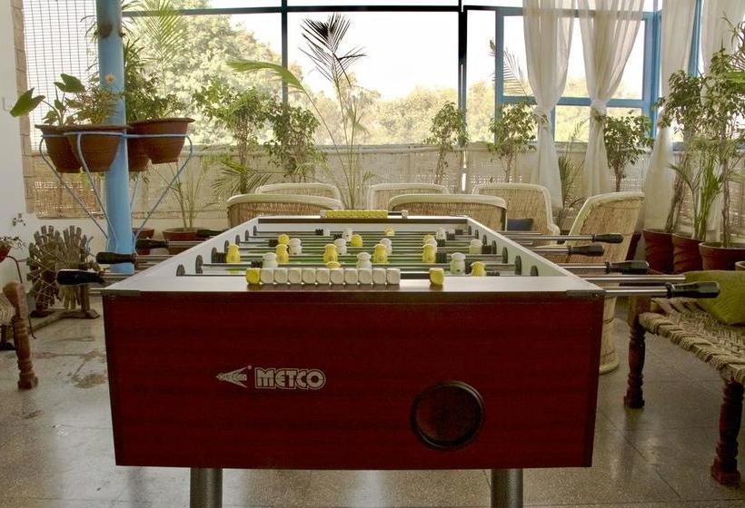 Hostel Gostops Agra 8