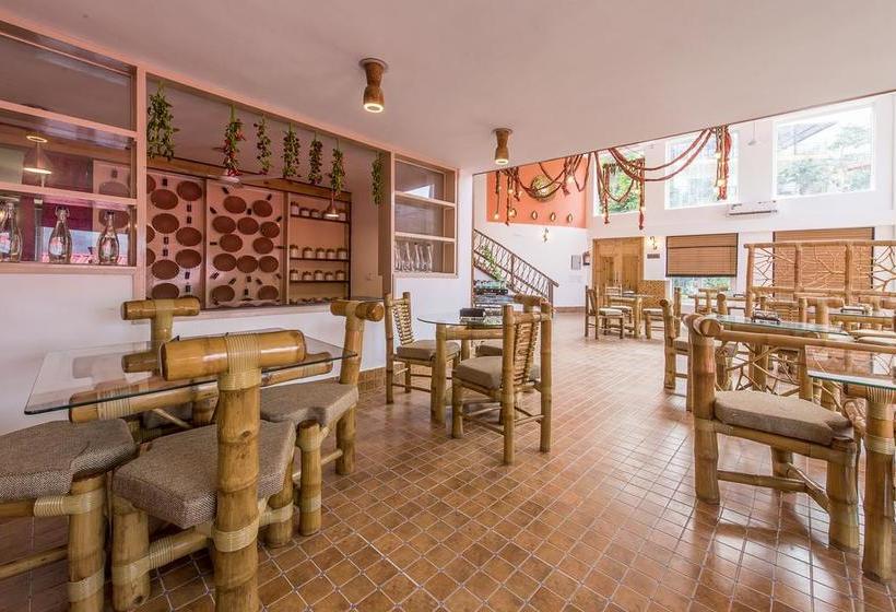 Resort Veda5 Ayurveda & Yoga Retreat 13