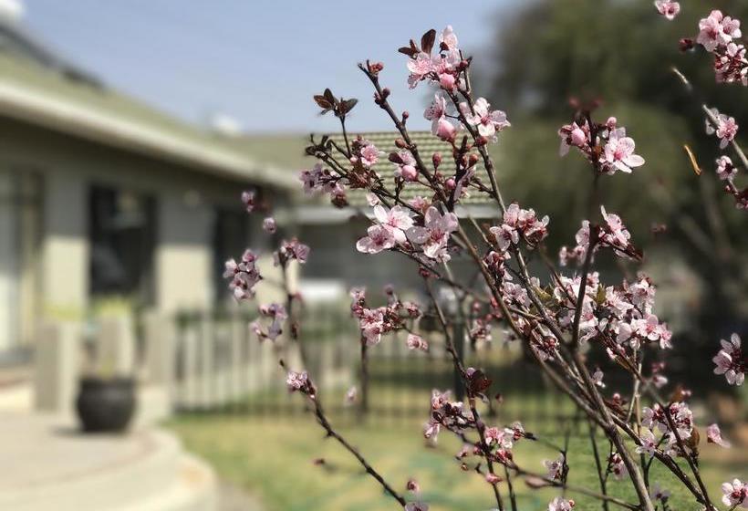 Bed and Breakfast 109 Ryno Kriel 20