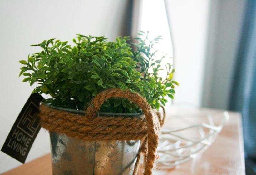 Bed and Breakfast Turtle Rooms 18