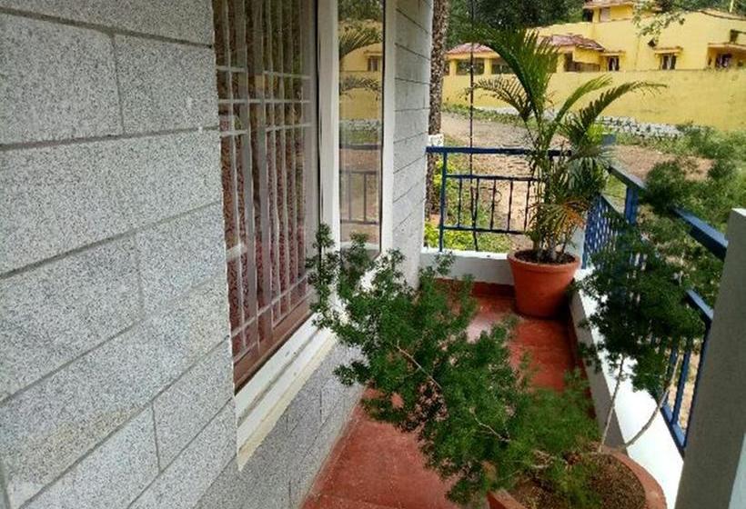 Hotel Misty Cove Inn 17