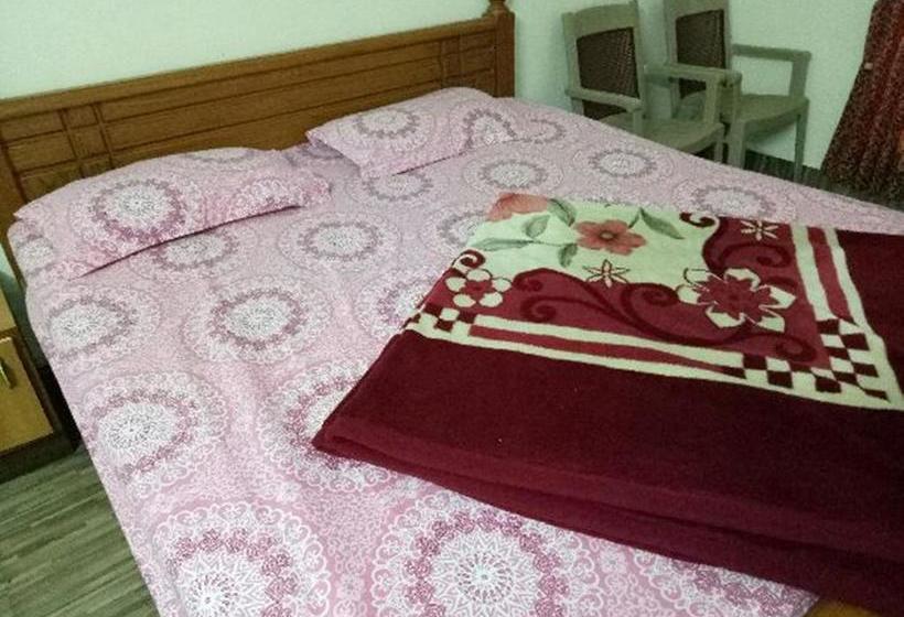 Hotel Misty Cove Inn 2