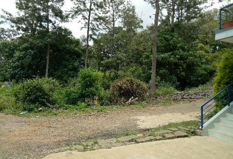 Hotel Misty Cove Inn 7