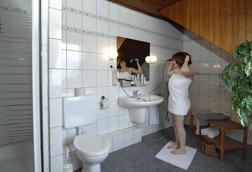 Hôtel Gasthof Zum Siegburger 2