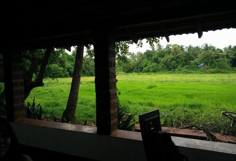 That Crazy Hostel Goa