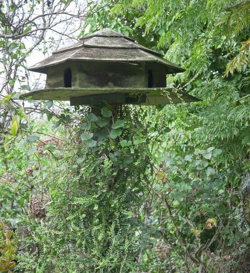 Tamars Bed And Breakfast 20