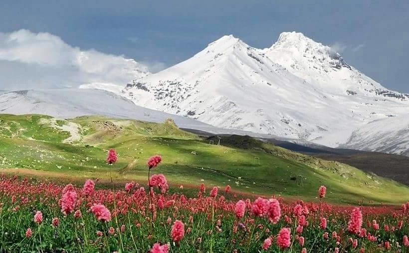 Hotel Royal Humzah 4