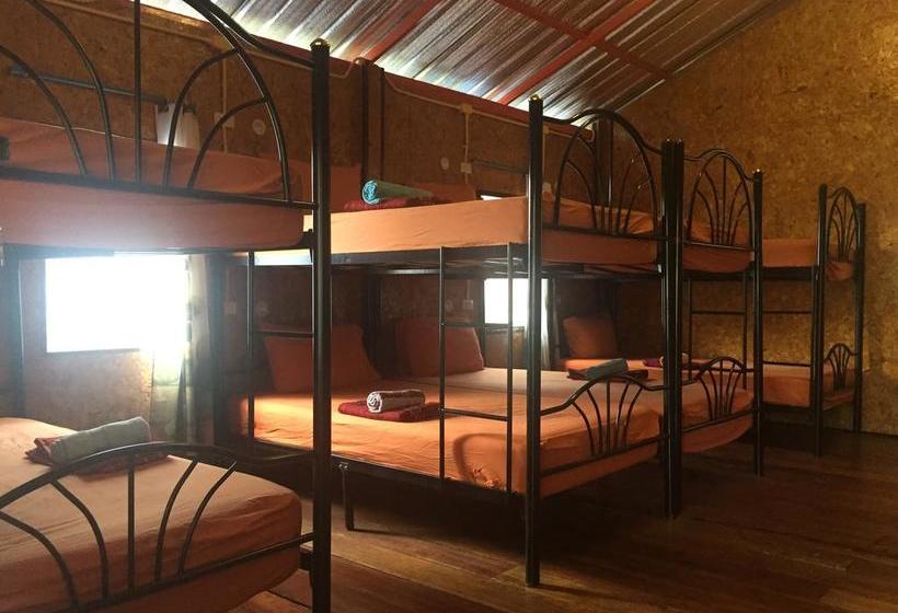 Hostel Bb Lonely Beach 16