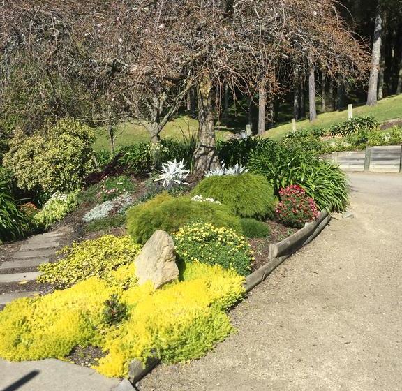 Faulknor On Shanley B&b 12