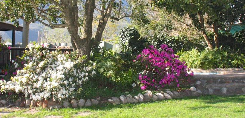 Bed and Breakfast Grace Walk Guesthouse 4