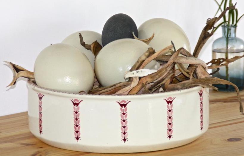 Bed and Breakfast Grace Walk Guesthouse 8