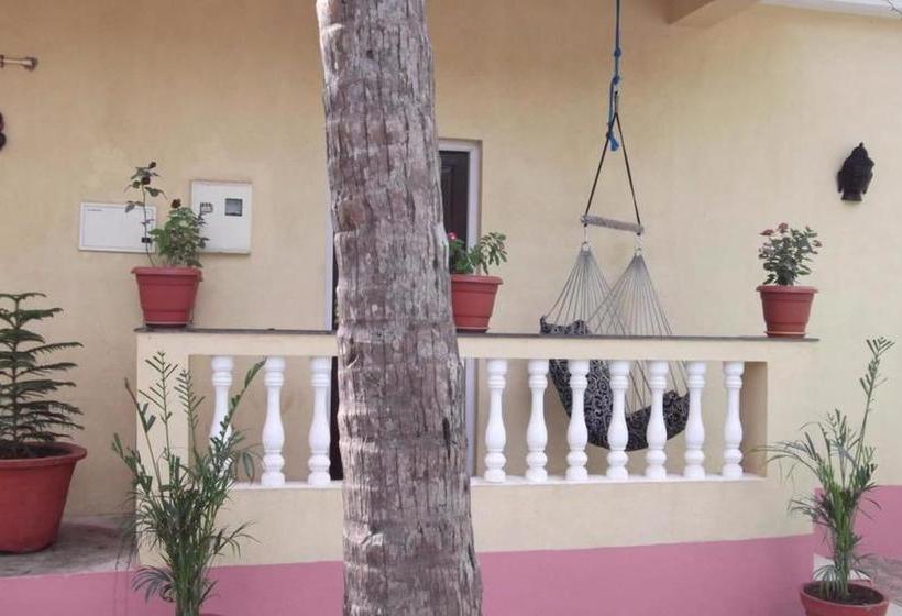 Hotel Dreams Palm Anjuna 11