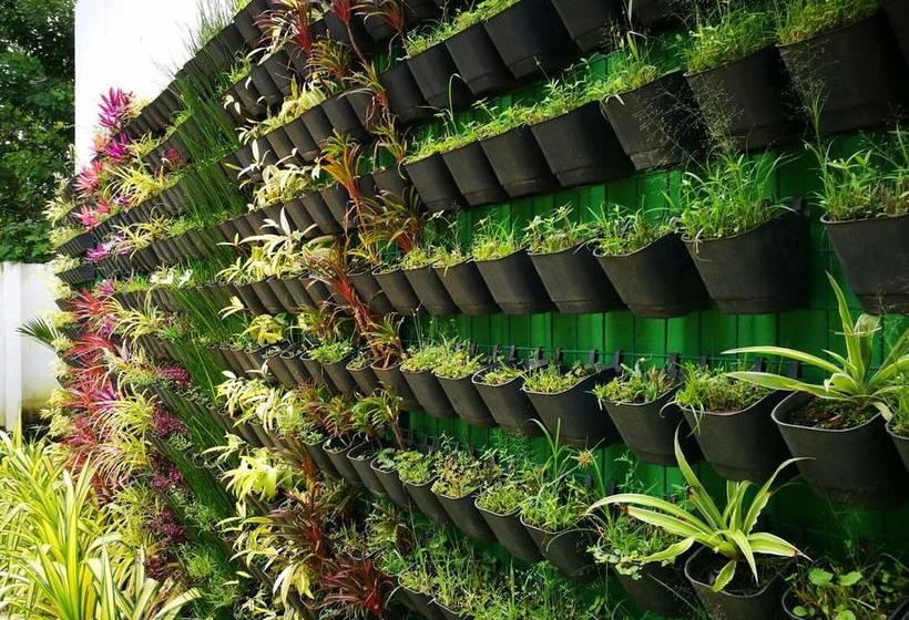 Resort Guru Ayurveda Retreat Center 15