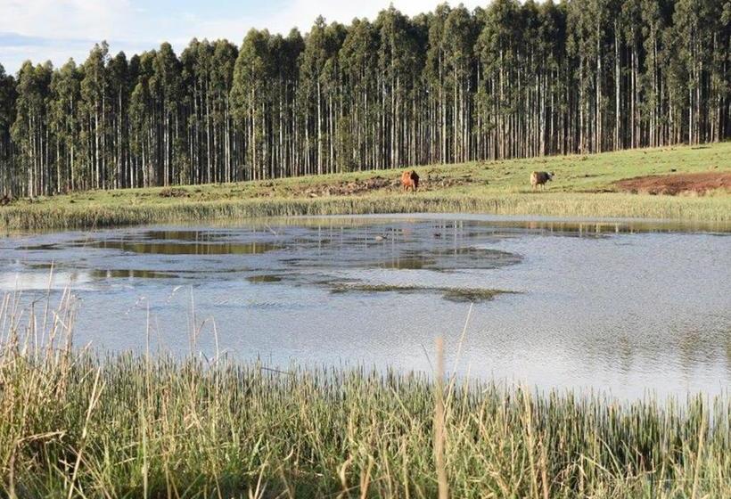 Bed and Breakfast Amber Avenue Guesthouse 1