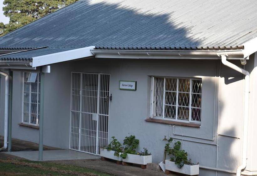 Bed and Breakfast Amber Avenue Guesthouse 14