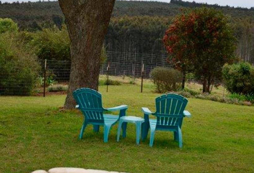 Bed and Breakfast Amber Avenue Guesthouse 17