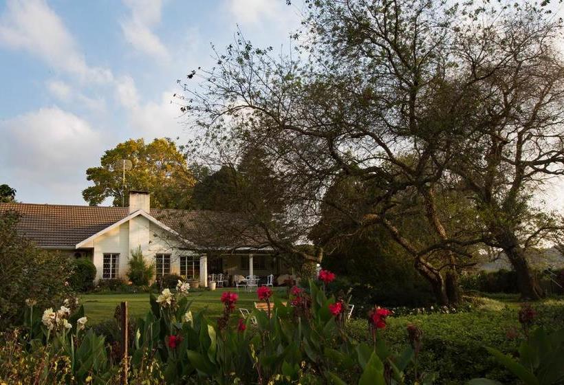 Bed and Breakfast Amber Avenue Guesthouse 20