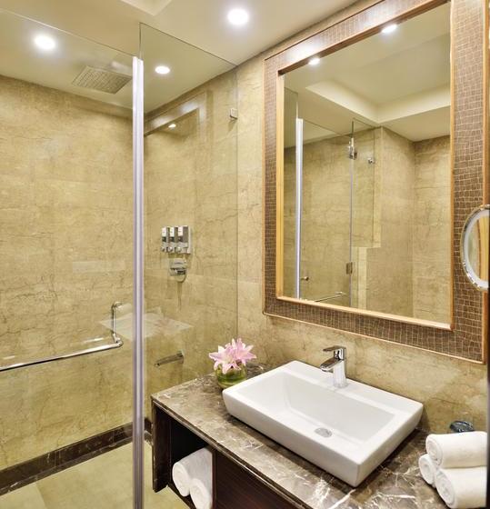 Hotel Four Points By Sheraton Srinagar 16