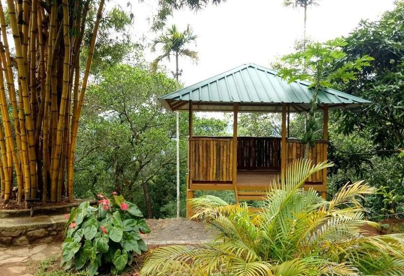 Resort Bisonvalley Groves 11