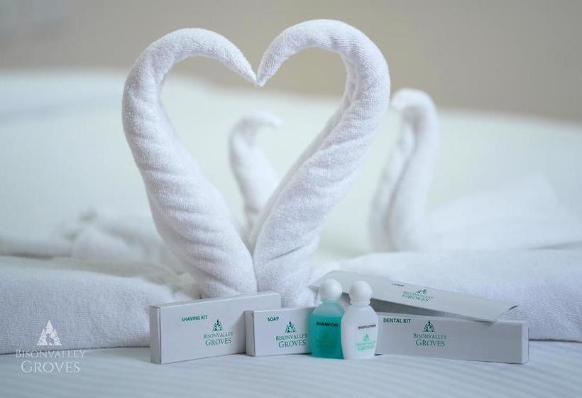 Resort Bisonvalley Groves 6