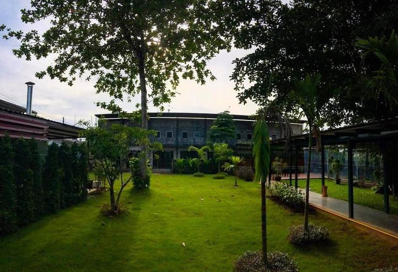 Hostel The Tree Sleep And Space 1