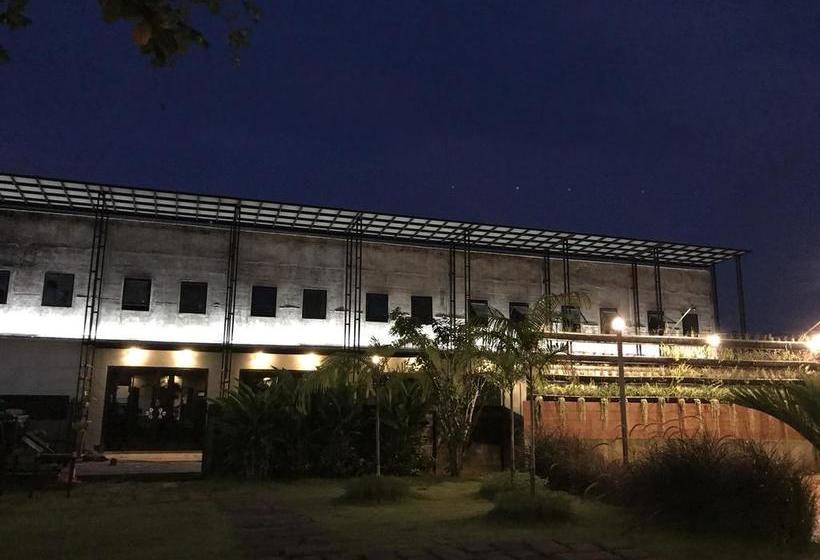 Hostel The Tree Sleep And Space 3