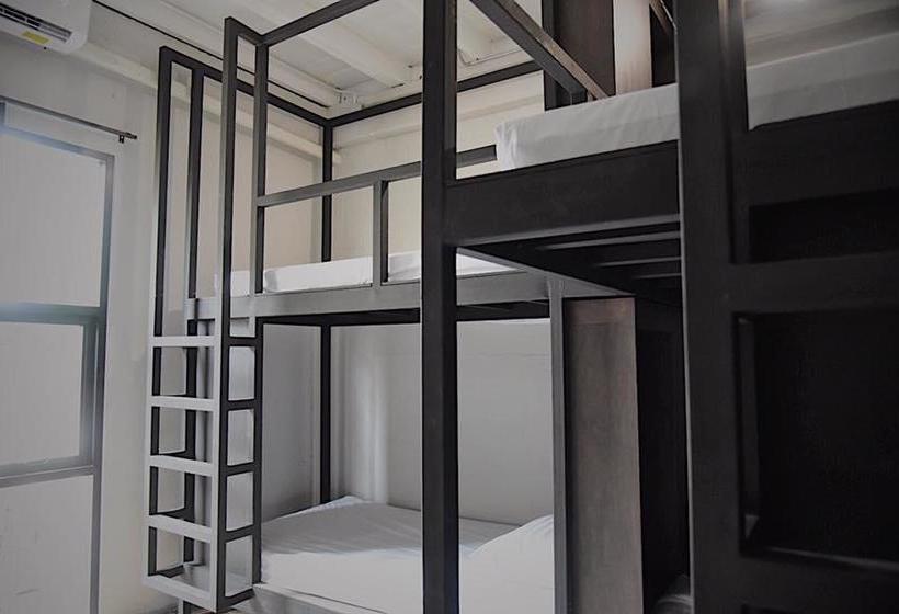 Hostel The Tree Sleep And Space 9