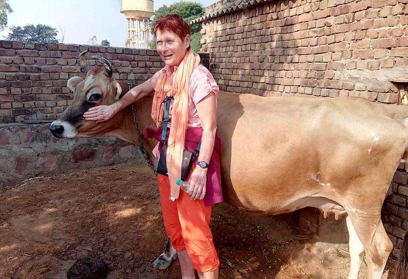 Bed and Breakfast Royal Farm 1