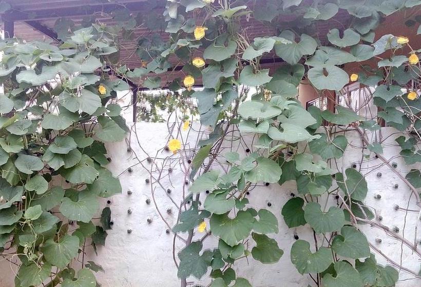 Bed and Breakfast Royal Farm 3