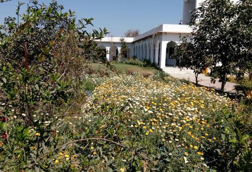 Bed and Breakfast Royal Farm 9