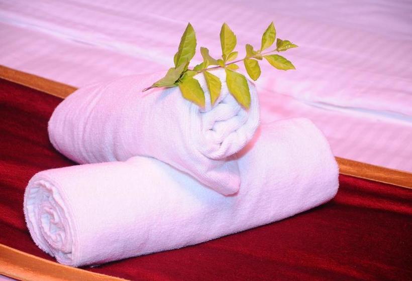 Resort Trippers Stay 1