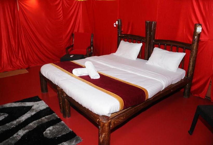 Resort Trippers Stay 16