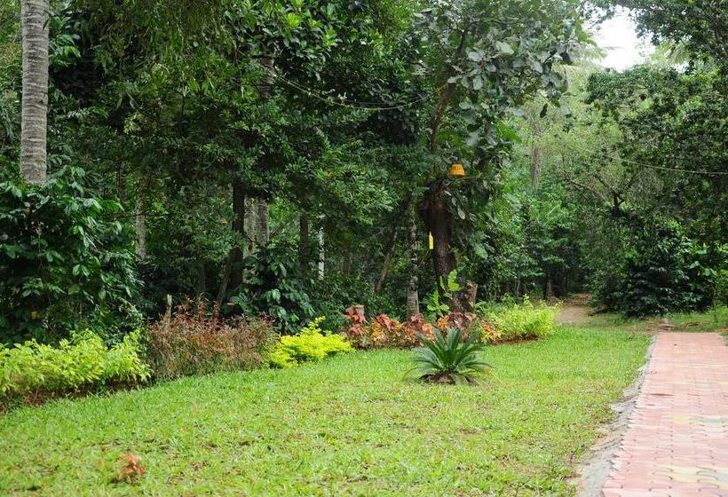 Resort Trippers Stay 3