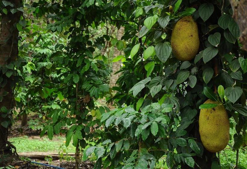 Resort Trippers Stay 5