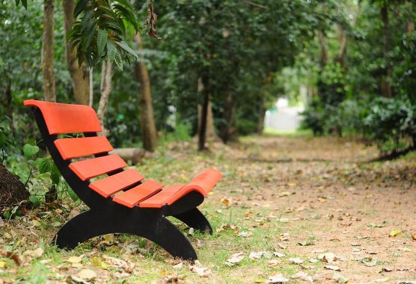 Resort Trippers Stay 7