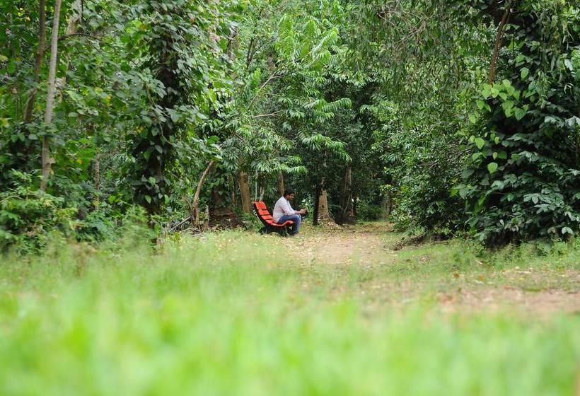 Resort Trippers Stay 8