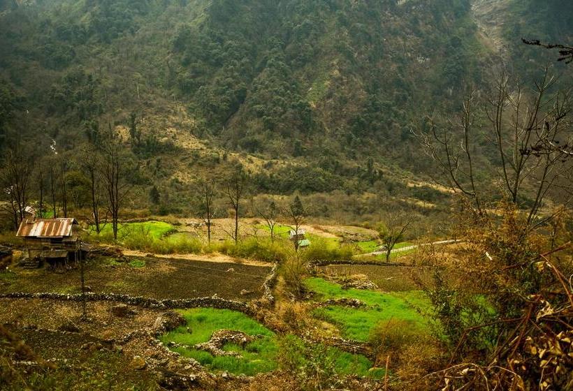 Hotel Fortuna Lachung 17