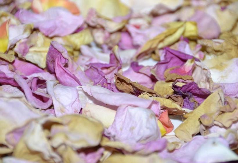 Bed and Breakfast Three Oaks 17