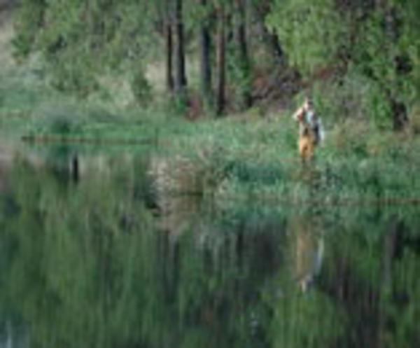 Hotel Anford Country House 2