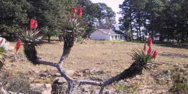 Hotel Anford Country House 6