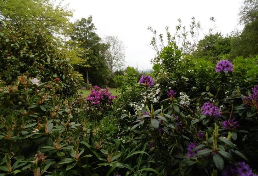 Ranui Retreat Bed And Breakfast 5