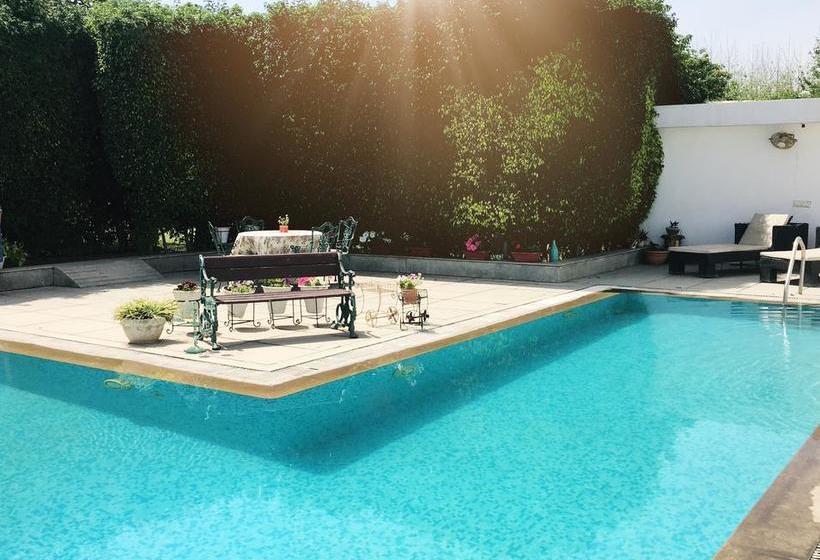 Bed and Breakfast Windsong 2